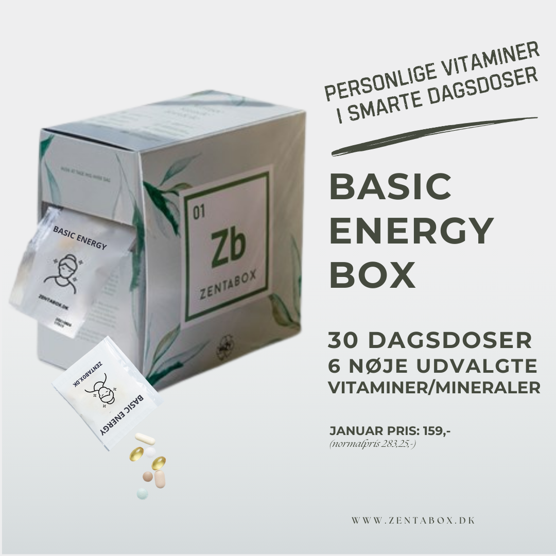 BASIC ENERGY BOX