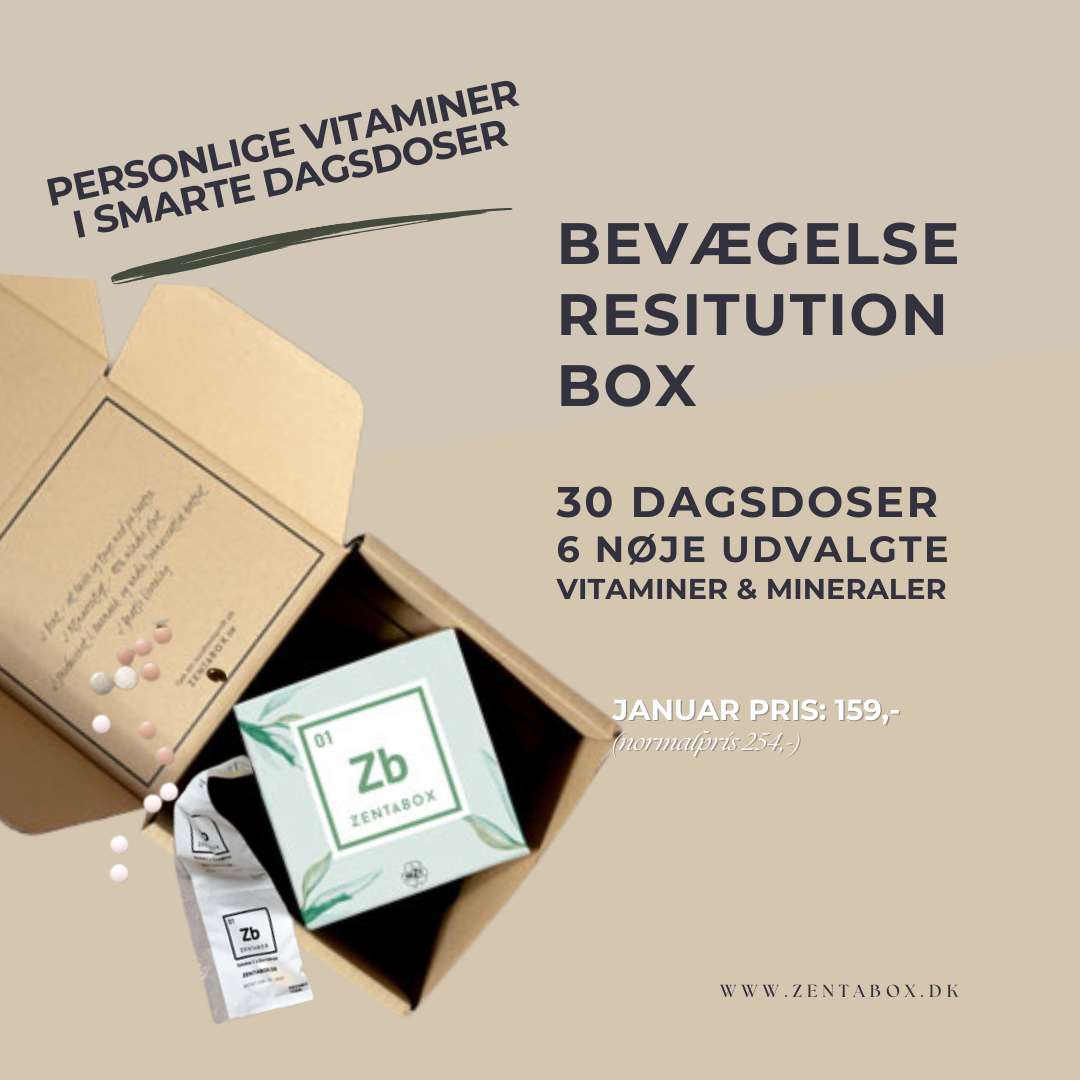 BEVÆGELSE & RESTITUTION
